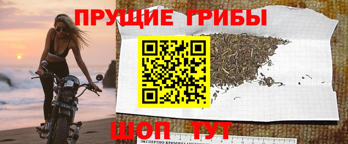 Псилоцибиновые грибы мухоморы  Псилоцибиновые грибы Psilocybe  Вход с VPN  Углич 